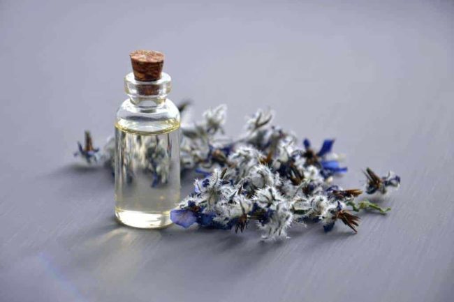 5 Surprising Ways CBD Oils Are Beneficial To Your Health 5 Surprising Ways CBD Oils Are Beneficial To Your Health