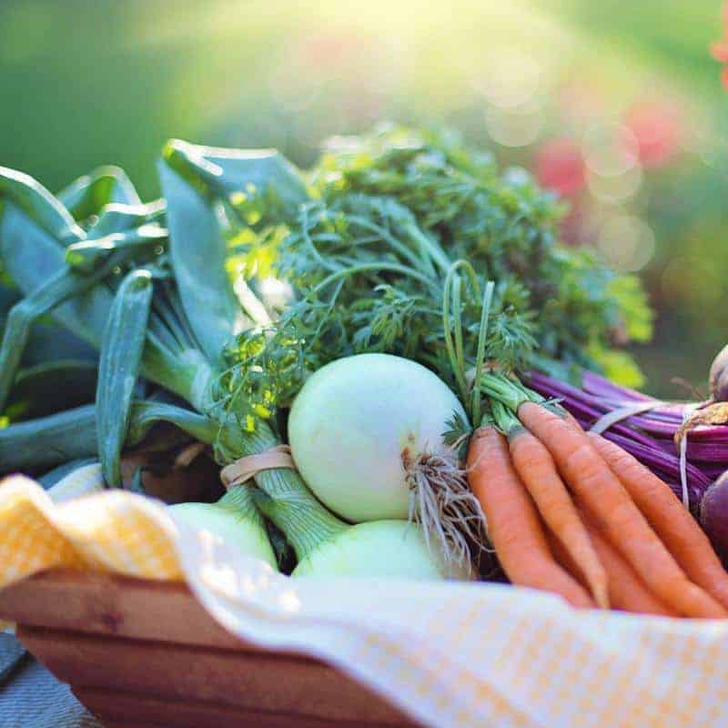 Functional Medicine