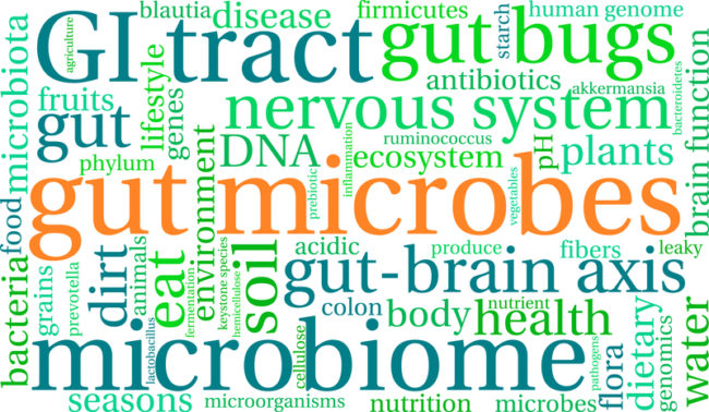 1 thing you can do for your Immune system! 1 thing you can do for your Immune system!