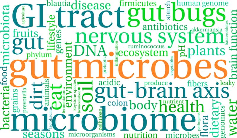 1 thing you can do for your Immune system!
